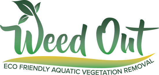 Weed-Out LLC