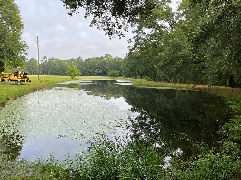 Pond Cleaning Service