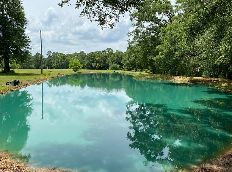 Pond Cleaning Service