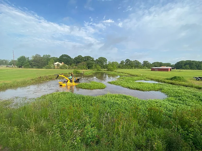 Pond Cleaning Service