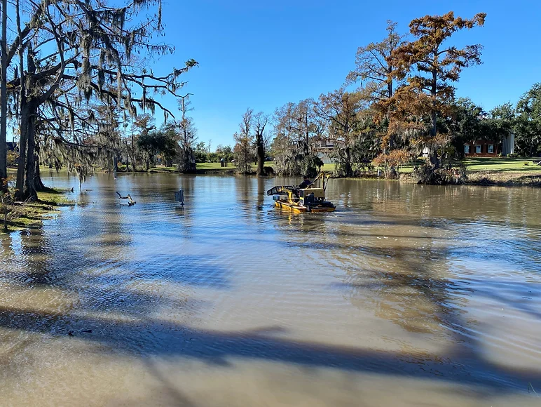 Pond Cleaning Service