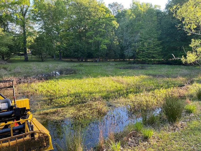 Pond Cleaning Service