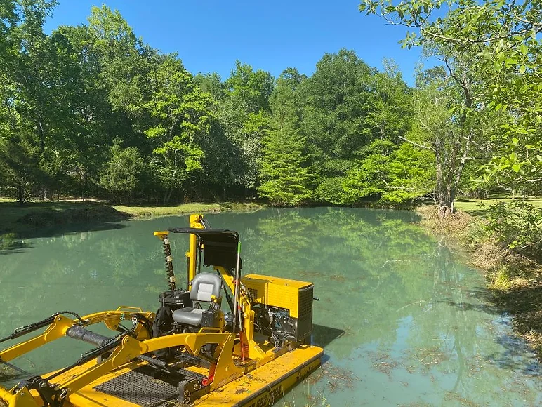 Pond Cleaning Service