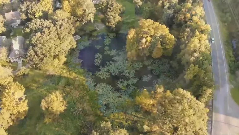 Pond Maintenance