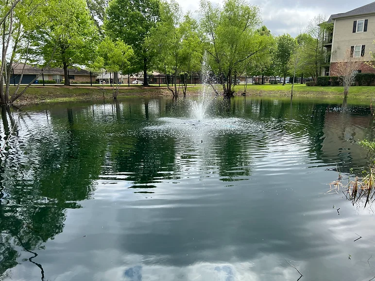 Pond Maintenance