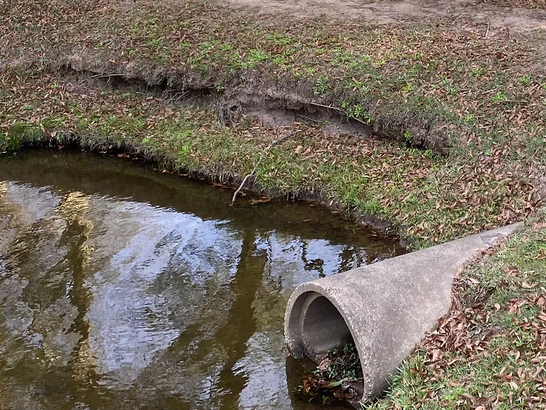 Pond Maintenance