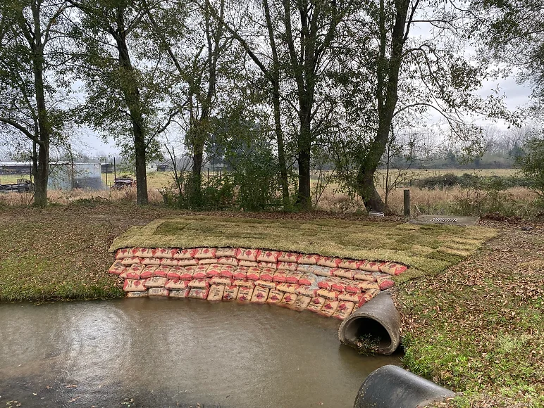 Pond Maintenance