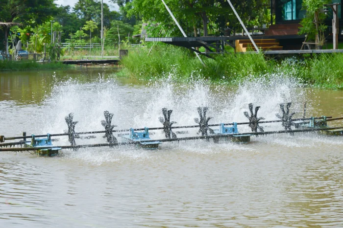 Common Signs Your Pond Needs an Aeration System Installed in Youngsville, LA Common Signs Your Pond Needs an Aeration System Installed in Youngsville, LA