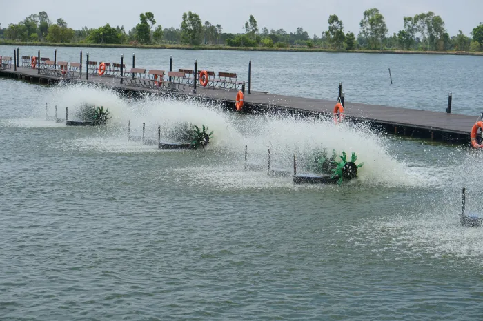 How Proper Aeration Supports Fish and Aquatic Life Health in Youngsville, LA
