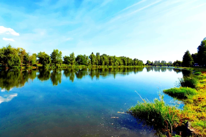 How a Ponds Contractor Restores Balance in Overgrown Ponds in Youngsville, LA How a Ponds Contractor Restores Balance in Overgrown Ponds in Youngsville, LA