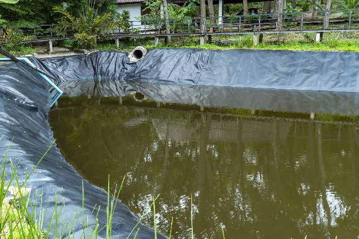 How to Maintain a Healthy Pond With Professional Cleaning Youngsville, LA How to Maintain a Healthy Pond With Professional Cleaning Youngsville, LA