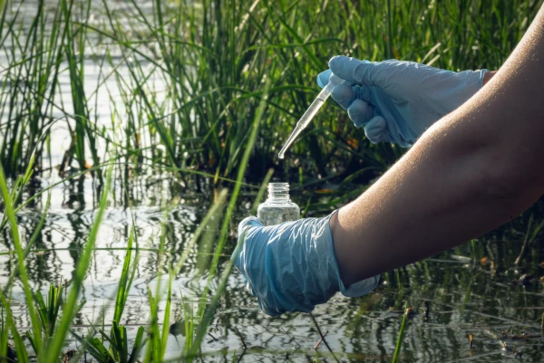 Pond Management
