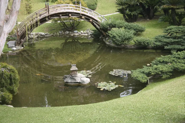 Preventing Algae Growth Through Proactive Pond Management in Youngsville, LA Preventing Algae Growth Through Proactive Pond Management in Youngsville, LA