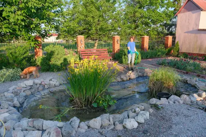 Signs Your Pond Needs a Contractor for Deep Cleaning in Youngsville, LA Signs Your Pond Needs a Contractor for Deep Cleaning in Youngsville, LA